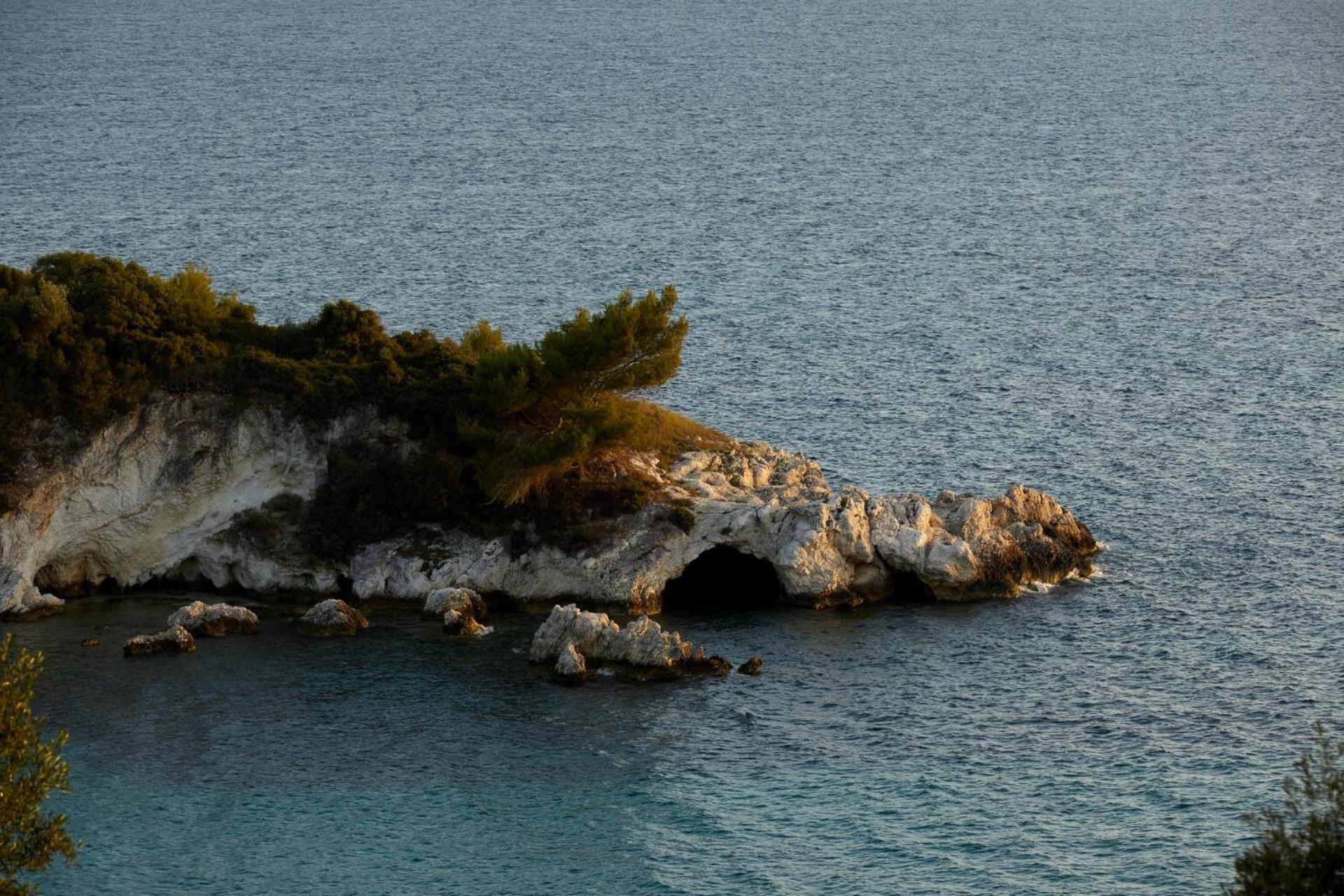 The Wildt - Exclusive Coastal Living Villa *
